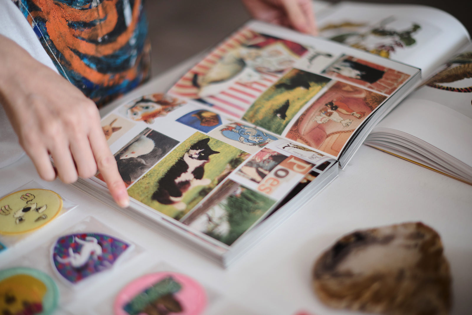 『Animal Books for Jaap, Zeno, Anna, Julian & Luca (new edition)』