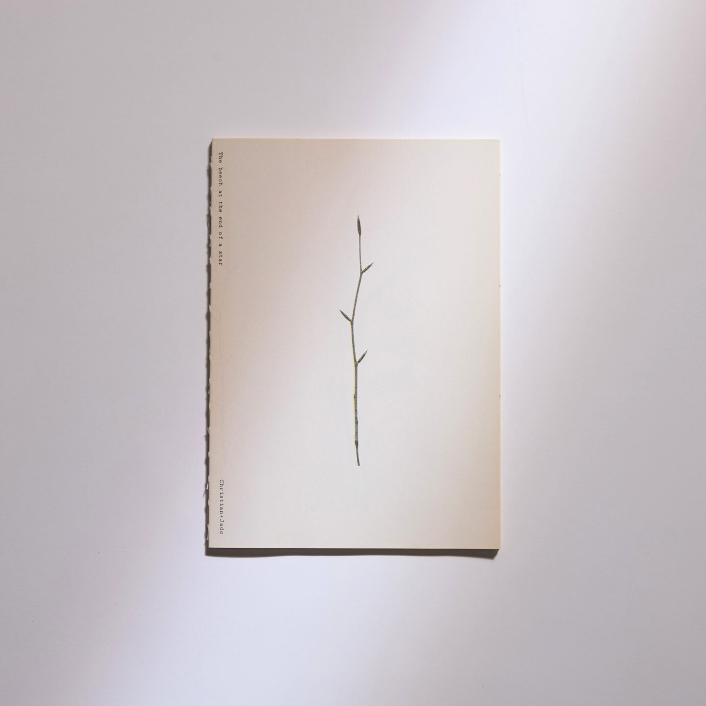 Christian Schwager The Branch As The End of a Tree』Kodoji Press刊。